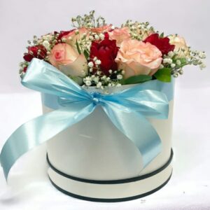 DOUBLE DELICATE - Image 2