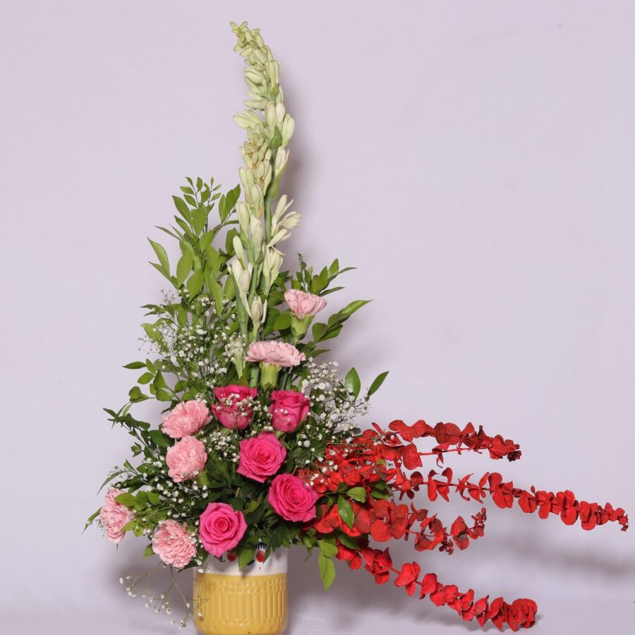 Fragmetic pinks