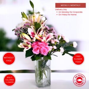 Pink-Lay - Image 2