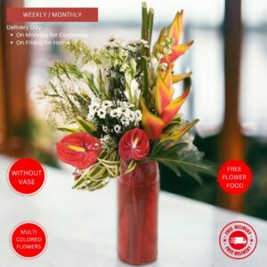 Scarlet - Image 2