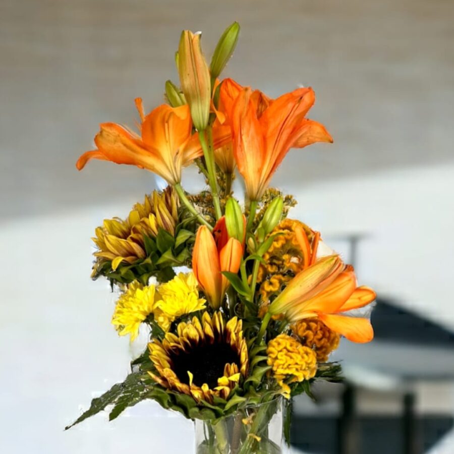 Sunshine Serenade