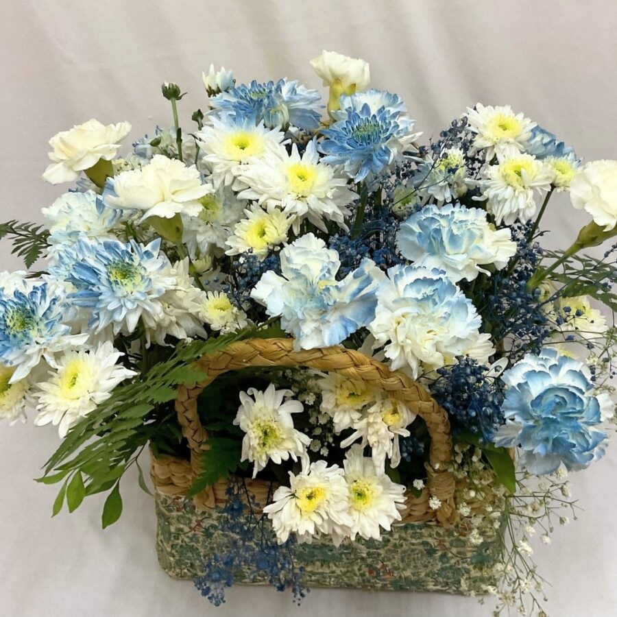 BASKET OF EXPRESSION