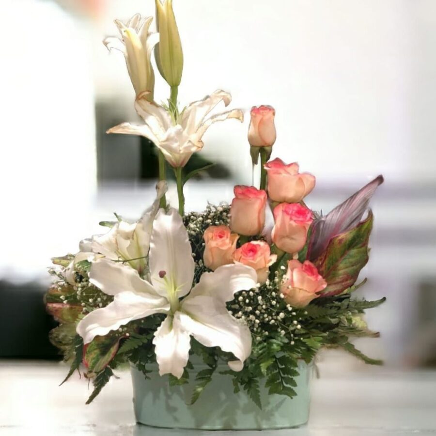 SHEER DELICACY IN THE BOX WITH LINER