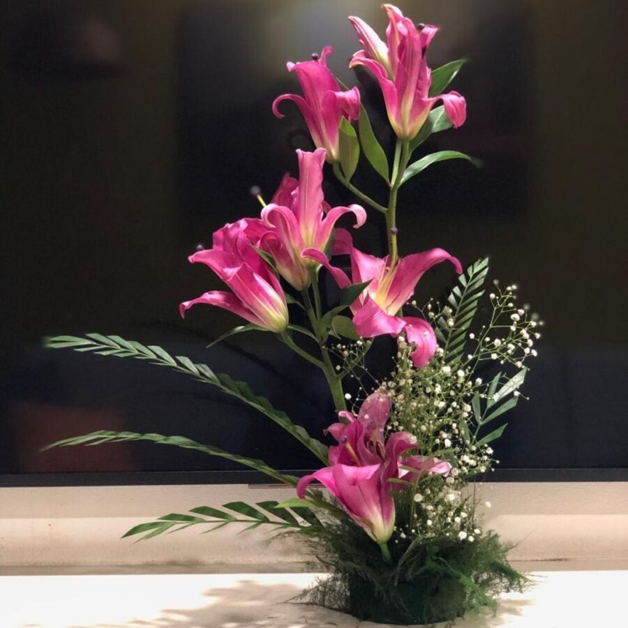 PINK HEIGHT