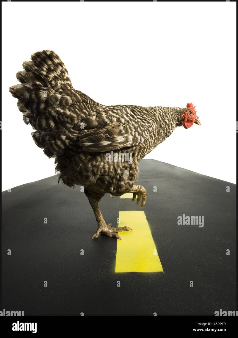 Chicken road online - Descubre el Intricado Mundo del Juego de Cartas de Chicken Road en España
